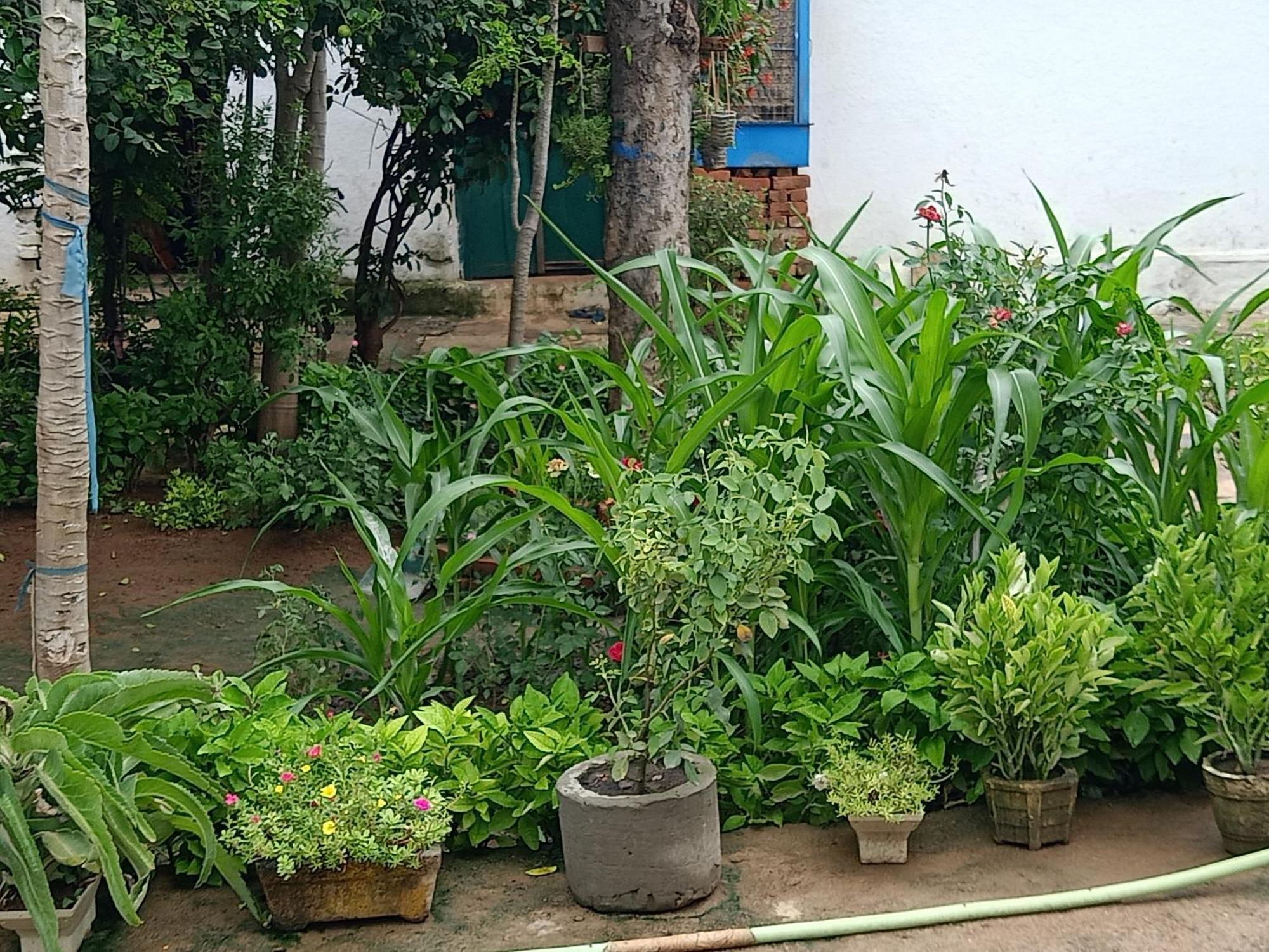 Khajuraho Rancho Apartman Kültér fotó