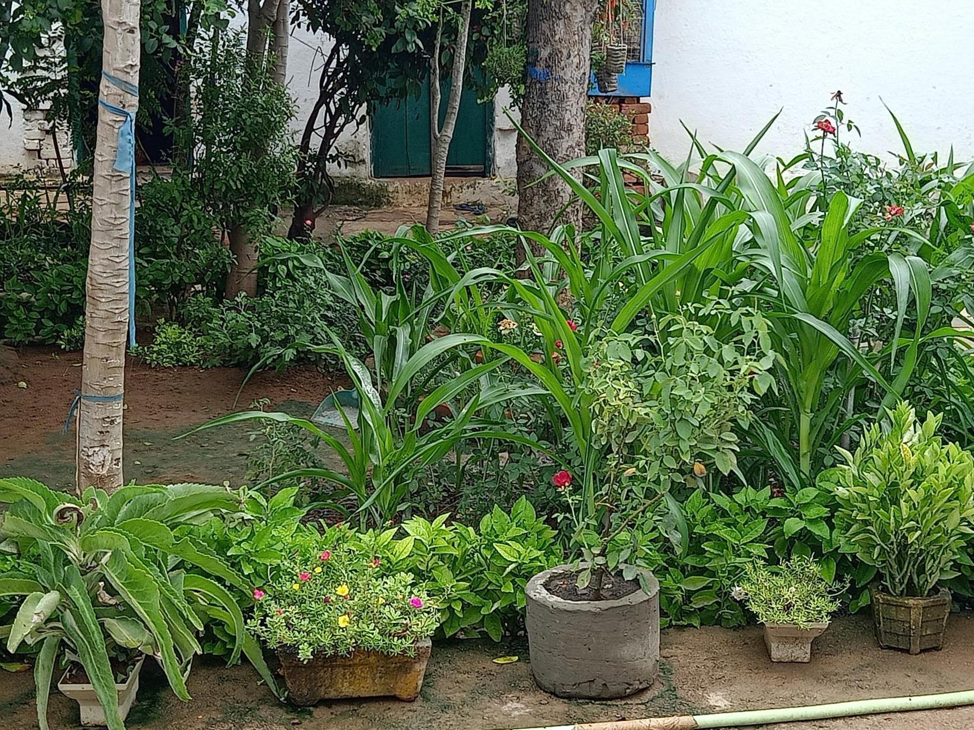 Khajuraho Rancho Apartman Kültér fotó