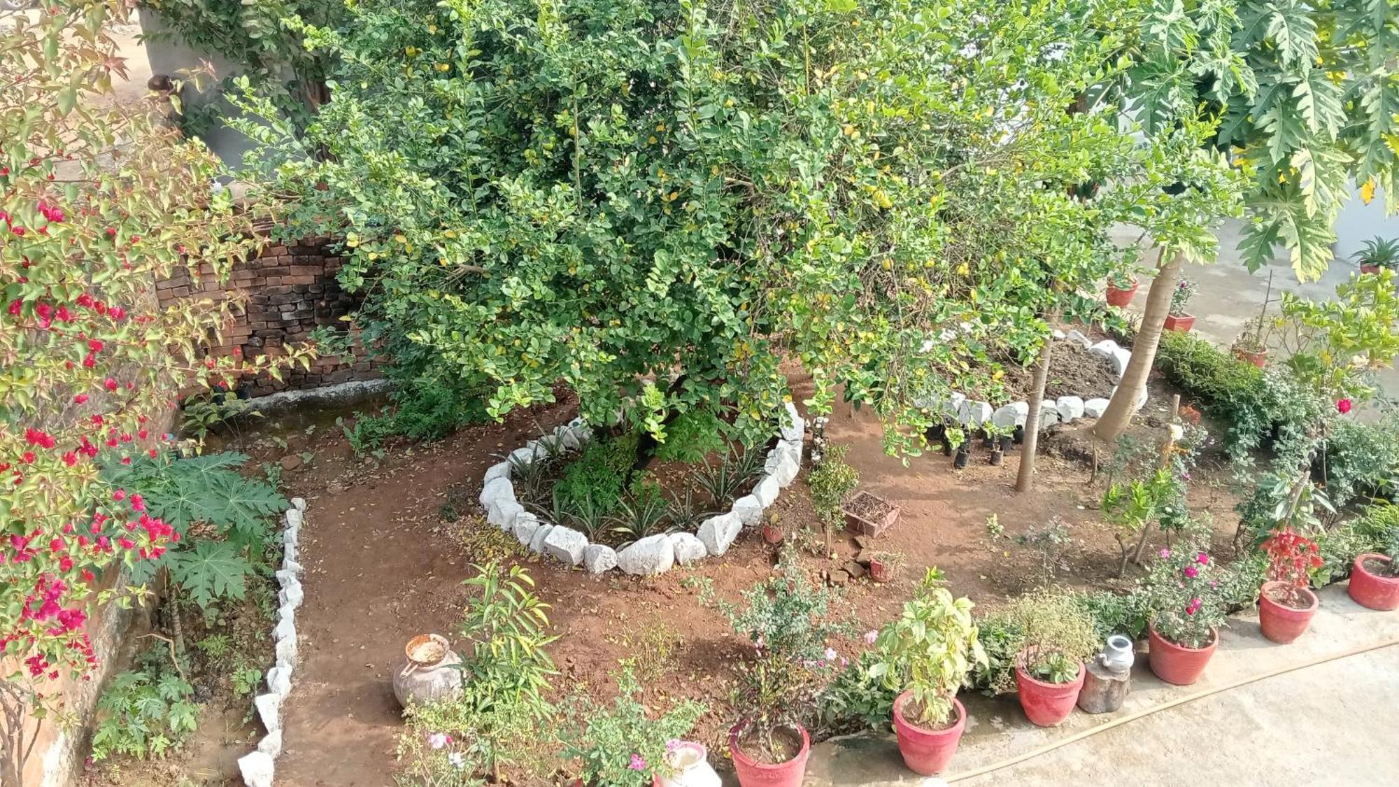 Khajuraho Rancho Apartman Kültér fotó
